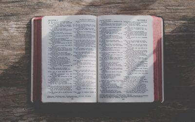 The Quiet Power of Ordinary Devotions
